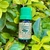 Óleo Essencial Bergamota - 10 ml