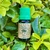 Óleo Essencial Gerânio - 10 ml
