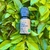 Óleo Essencial Menta Brasileira -10 ml