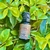 Óleo Essencial Tangerina - 10 ml