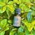 Óleo Essencial Funcho -10 ml