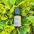 Óleo Essencial Citronela - 10 ml