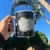 Caneca Câncer - Drama Queen - comprar online