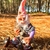 Duende