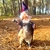 Duende Barbudo - comprar online