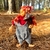 Duende Cogu - comprar online