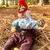 Duende Raizes - comprar online