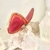 Borboleta Agata Rosa