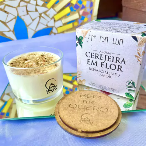 Vela N´da Lua - Figo em Flor