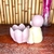 Mini Monge - comprar online