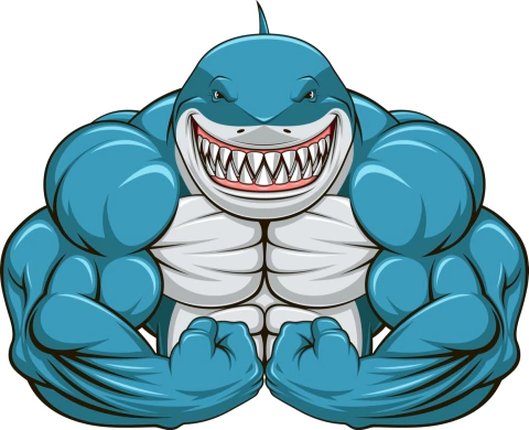 Aproveite nossas OFERTAS 🦈🦾