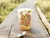 POTE PSAI 500 X 1 - comprar online