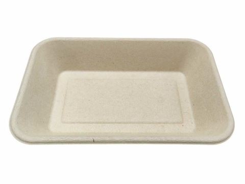 BANDEJA BIOBOX CON TAPA 102 X 10