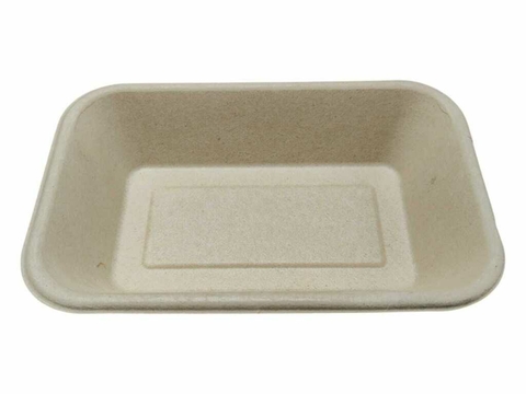 BANDEJA BIOBOX CON TAPA 103 X 10