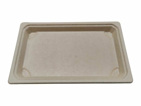 BANDEJA BIOBOX RECTANGULAR CON TAPA 235 X 145 X 10