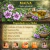 Malva 30 gr 10 unidades - comprar online
