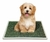MASTER PET PAÑO MINI X 10UNI. (45X55CM) - comprar online