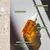 ACEITE ANTIOXIDANTE - Beta Glow Oil - Kosmos en internet