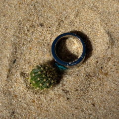 ANILLO GIGI en internet