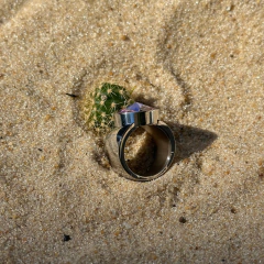 ANILLO AURA en internet