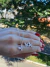 CONJUNTO BORBOLETA NA MICRO ZIRCONIA COD CX21468CJ