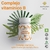 Complejo De Vitaminas B: 360 Días De Tratamiento – 10% OFF en internet