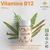 Vitamina B12 – 10% OFF - comprar online