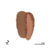 Patrick Ta - Major Sculpt Crème Contour & Powder Bronzer Duo - loja online