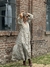 Vestido Serena en internet