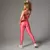 Legging Clássica + Top Julia Compressão Flamingo - comprar online