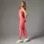 Legging Clássica + Top Julia Compressão Flamingo na internet