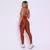 Legging Clássica + Top Serena Compressão Capuccino - comprar online