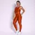Legging Clássica + Top Serena Compressão Terracota