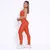 Legging Clássica + Top Luiza Compressão Cobre na internet