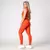 Legging Clássica + Top Liss Suplex Poliamida Cobre - Roupas Fitness para Revenda Direto da Fábrica, no Atacado