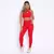 Legging Clássica + Top Luiza Suplex Poliamida Rubi