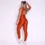 Legging Clássica + Top Liss Compressão Terracota na internet