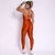 Legging Clássica + Top Serena Compressão Terracota na internet