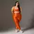 Legging Clássica + Top Nayara Bicolor Compressão Cobre e Areia