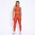 Legging Clássica + Top Luiza Compressão Cobre