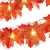 Folha Artificial Decorativa Com Led na internet