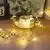 Luzes de Fio de Cobre (2 Cordões de 2M)