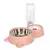 Alimentador 2 em 1 para Pets - comprar online