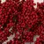 Ramo Decorativo Natalino Red Fruit na internet