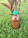 Frasco de 500 ML de Ayahuasca Pura, com tampa verde, posicionado sobre a grama em um ambiente natural.