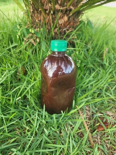 500 ml Ayahuasca Pura Banisteriopsis caapi (Jagube) + Chacrona (Rainha) Graduação 7/1