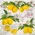 Servilletas Decoupage