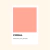 Pintura Tizada - Chalky CORAL