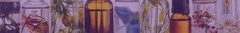 Banner da categoria Óleo Essencial 