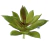 Planta Suculenta Verde 7,5x7cm Silicone (1Un) - comprar online